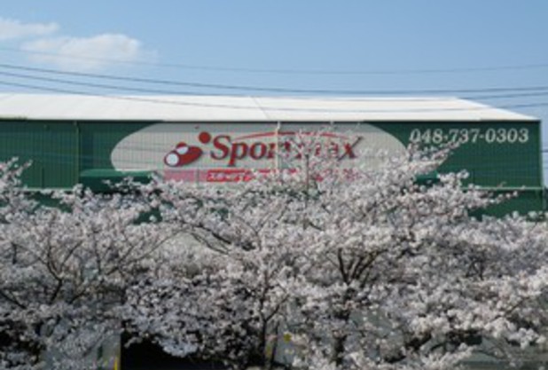 桜満開のスポーツマックス♪