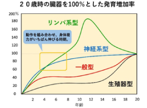 幼少期の運動効果～テニスが担える役割～