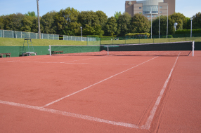 テニスってどんなスポーツ?