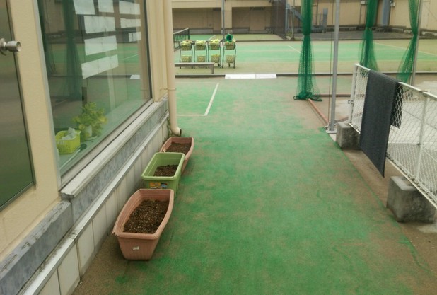 グリーンカーテン