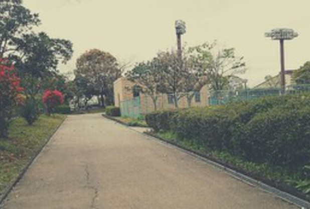 試合出場報告（長船　香菜子）