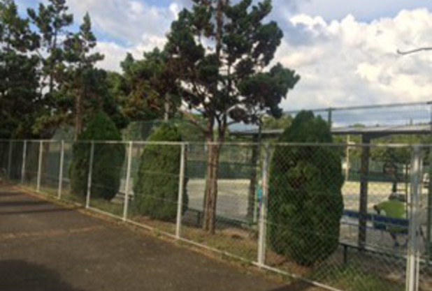 試合出場報告（安藤　博澄）