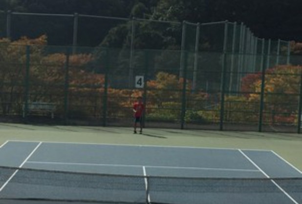 細かすぎる写真