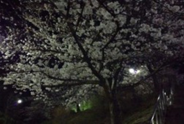 関西テニスユニバース(河内長野校編その１)