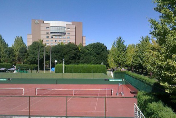 久しぶりの青空