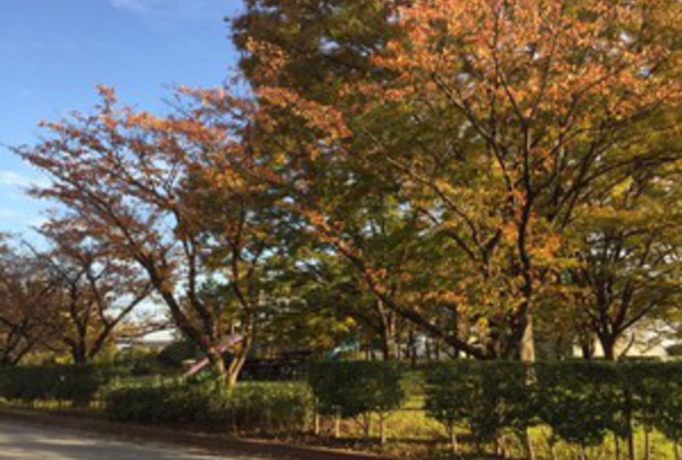 秋のスポーツマックス♪