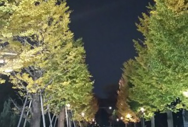 色づきましたね