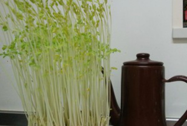 ジュニアスクールのみんなも！！