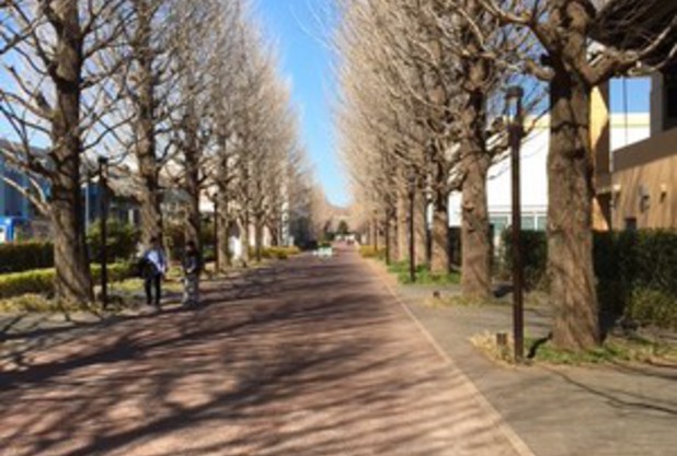 昭和の森テニススクールへ！！