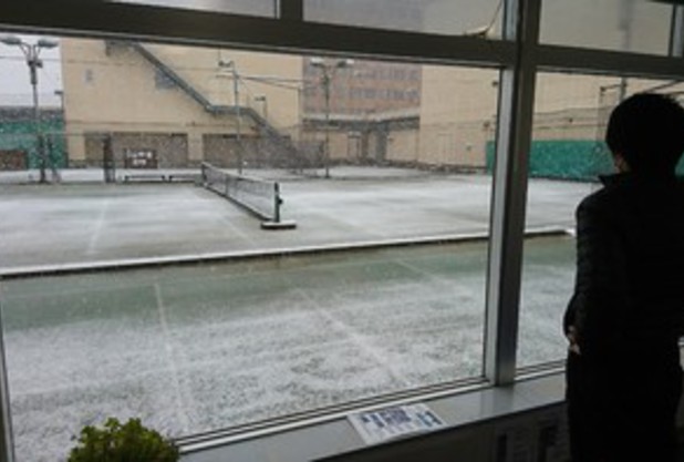 雪と清武コーチ!