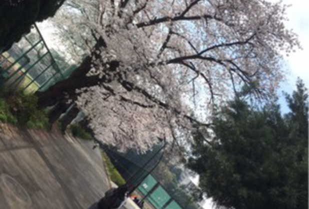 春休みスタート