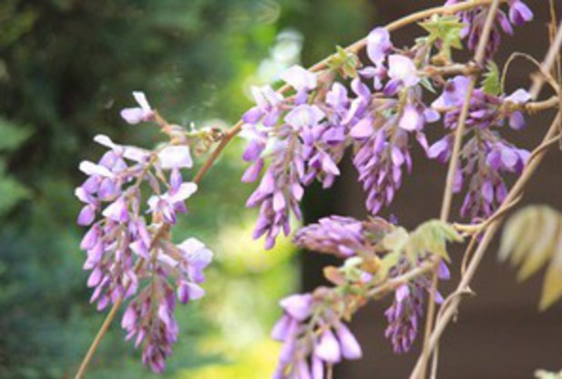 急がずゆっくりと