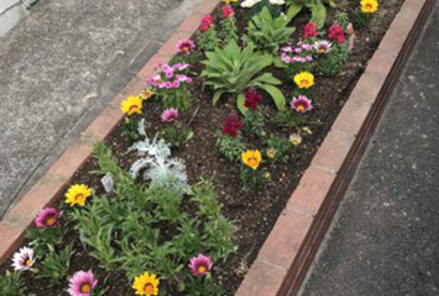 美原の美化活動♪