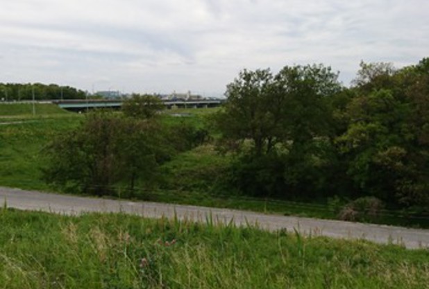 全日本ベテランへの道season3