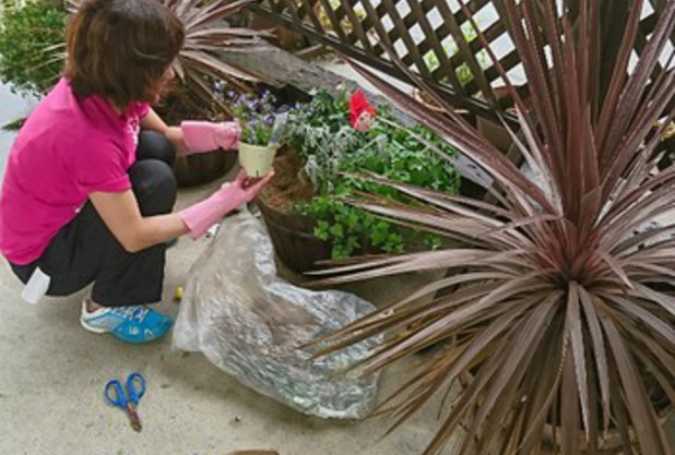 梅雨に負けない