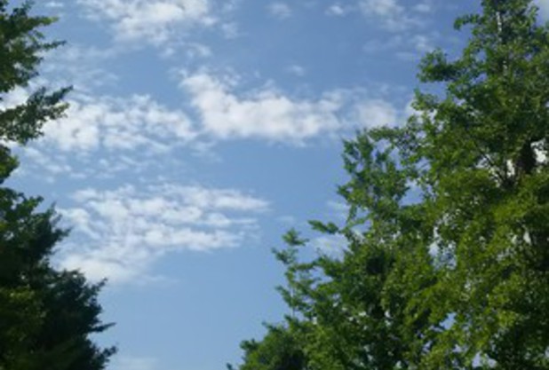 まだまだ暑い！