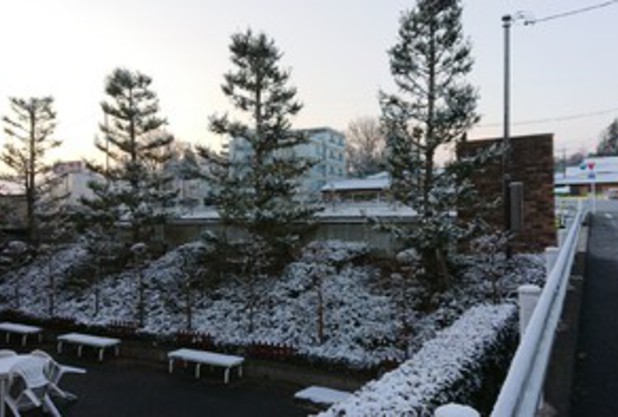 雪が降りました＼(^^)／