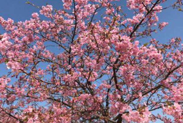 『Tennis』ヒストリア vol.15