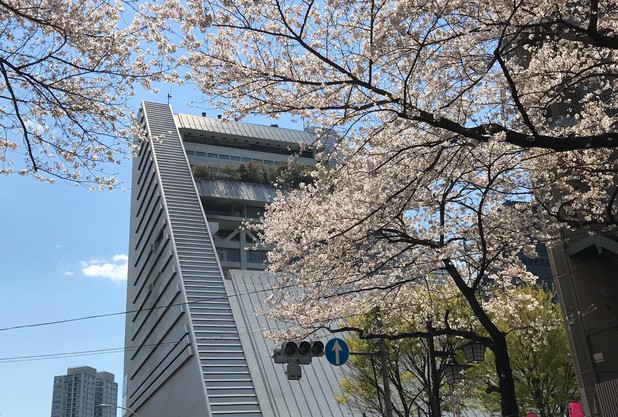 『Tennis』ヒストリア vol.17