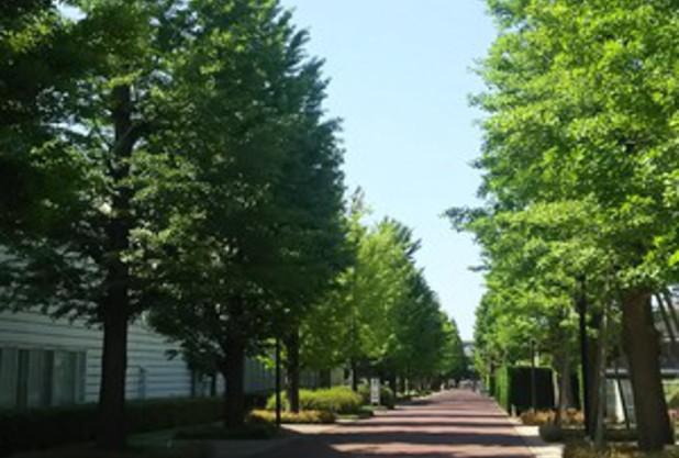 5月なのに・・・梅雨は？