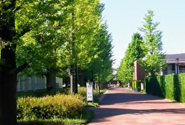 梅雨あけ……間近？かな