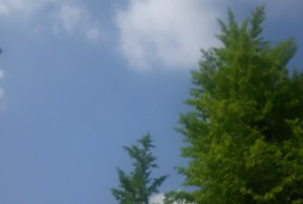 梅雨あけしましたぁ～