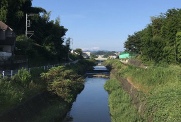 テニスエルボー