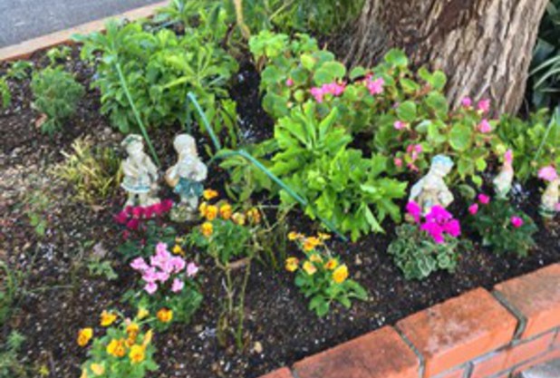 美原の森の花壇