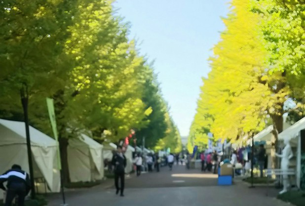 今年もにぎやかでした