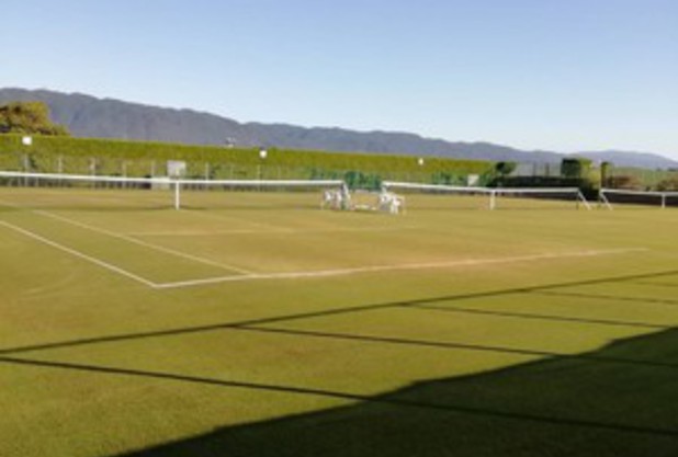 グラスコートとアンツーカーコート