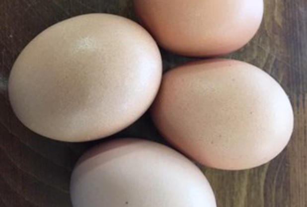 自炊はじめました＼(^^)／