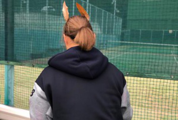 トナカイさんが掃除してくれました