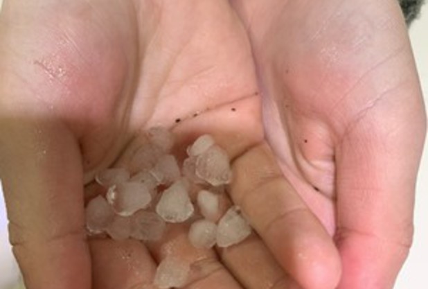 雹が降ったよ