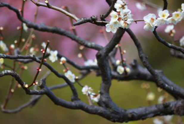 よい香りが・・・