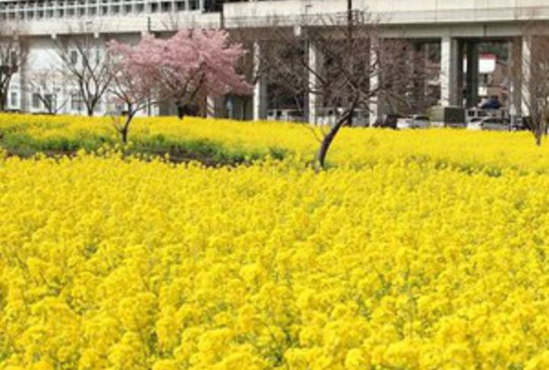 暖かさに誘われて