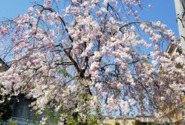 しばらく休業です