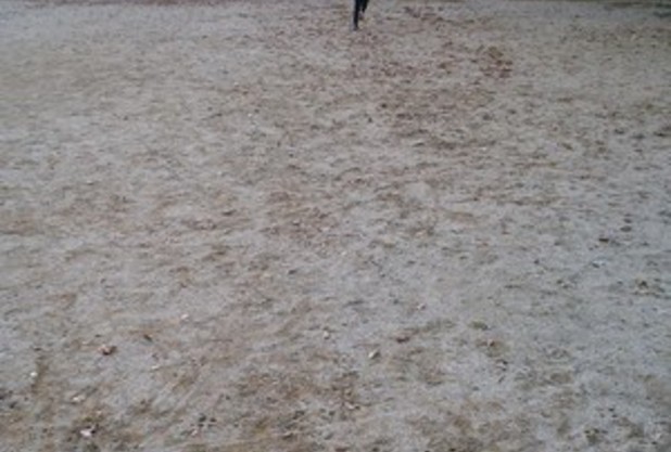 我が家のコロナ対策#2