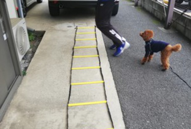 辻コーチ　ラダー編