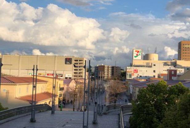 コーチ-テニスプロフィール 第3弾