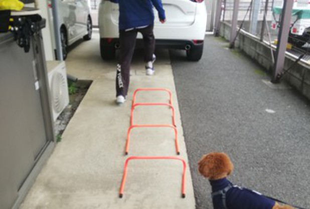 辻コーチ　ミニハードル編