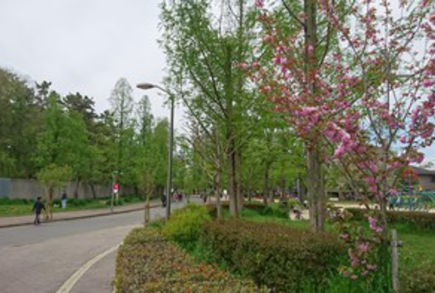 皆さん　いかがお過ごしでしょうか？