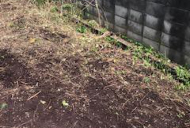 動きの連動、力の伝達、タイミング