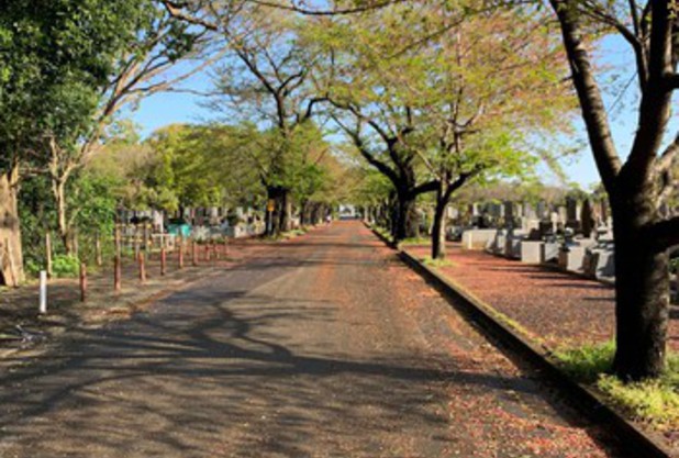 朝ラン気持ちいぃ〜〜♫