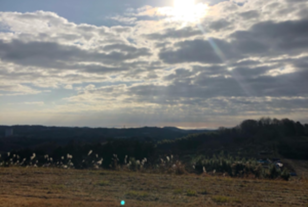 好きな景色　其の２　　榊原コーチ