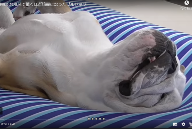 ぶるまる　柳田コーチ