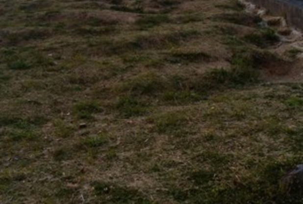 我が家のコロナ対策♯5