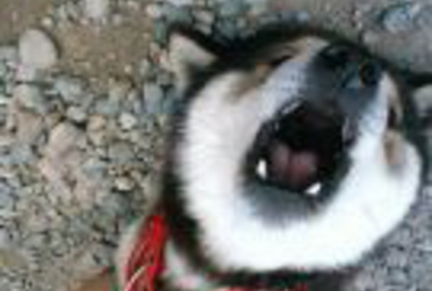 酒井コーチpart3