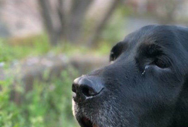 普段できないこと　綾部コーチ