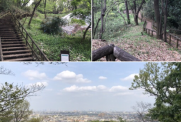 自身の体が喜ぶトレーニング