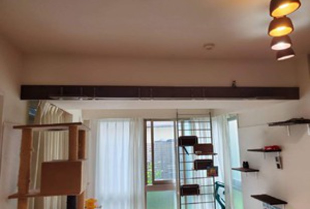 キャットウォーク